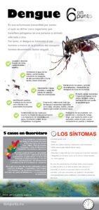 Dengue Infografia