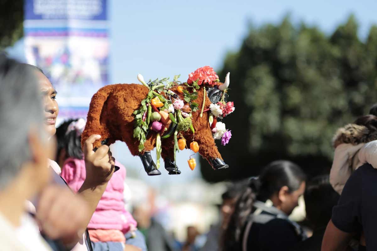 Fiestas de El Pueblito podrán ser Patrimonio Intangible del Estado: RSP