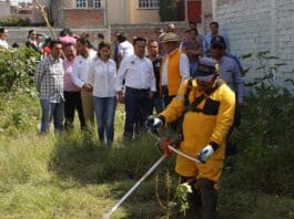 Municipio de Querétaro limpiará gratis predios baldíos menores de 200 metros cuadrados