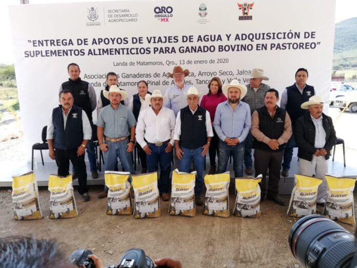 "Pancho sí cree y le apuesta al campo", coinciden ganaderos de Querétaro