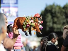 Fiestas de El Pueblito podrán ser Patrimonio Intangible del Estado: RSP