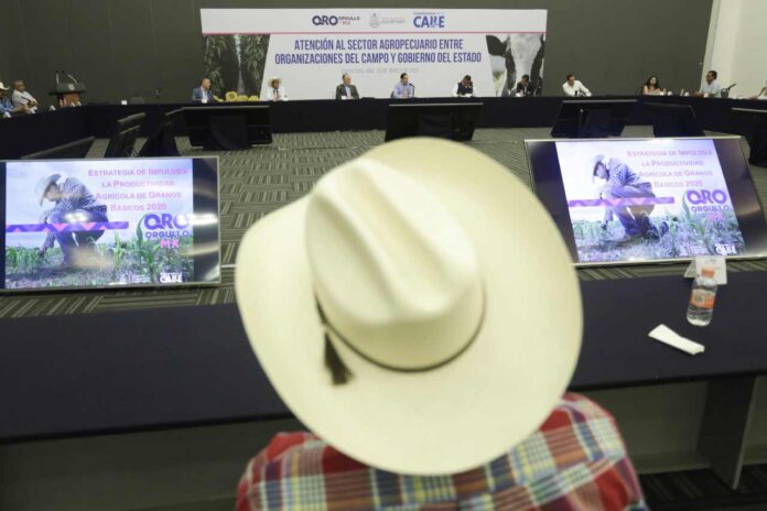 Fortalecerán al sector agropecuario queretano con apoyos por 90.6 millones de pesos, anunció FDS