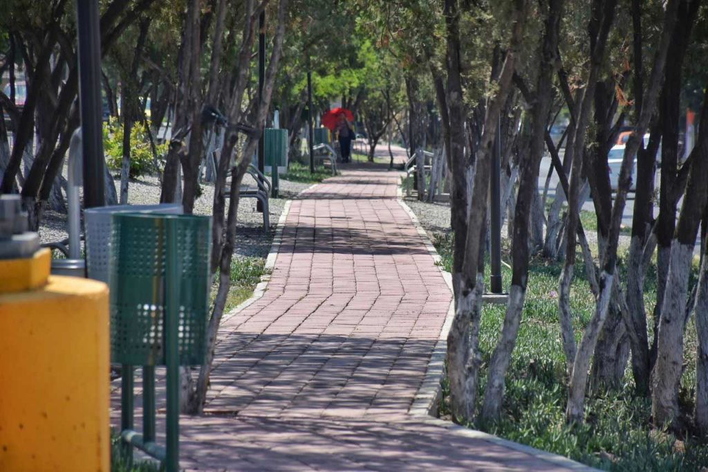 Roberto Sosa entrega obras de solución pluvial, reencarpetados y parque lineal para Tejeda