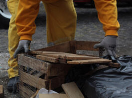 Recolección de basura continúa de manera habitual en Municipio de Querétaro