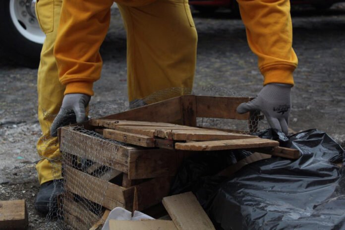 Recolección de basura continúa de manera habitual en Municipio de Querétaro