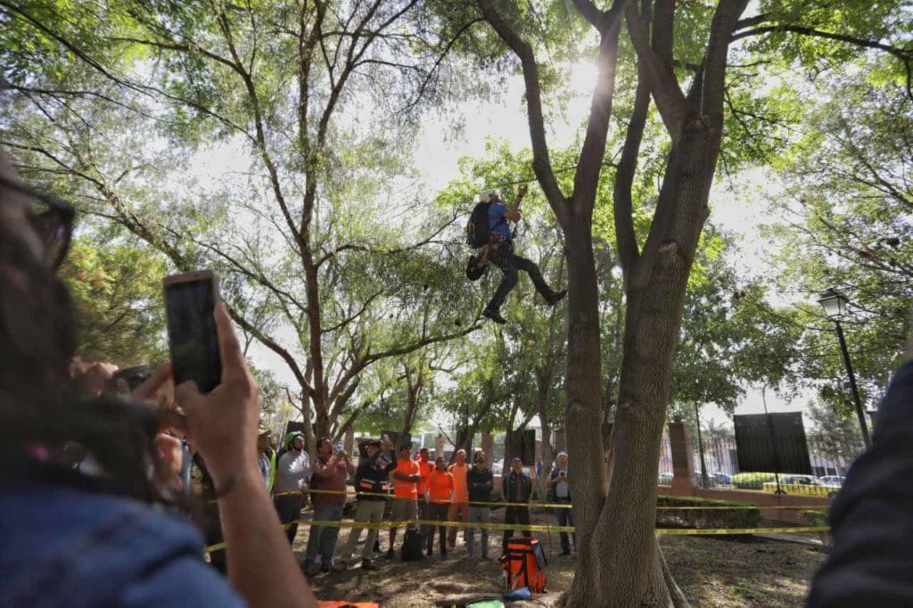 48 competidores asisten al  5to Campeonato de Trepa Árboles en Querétaro