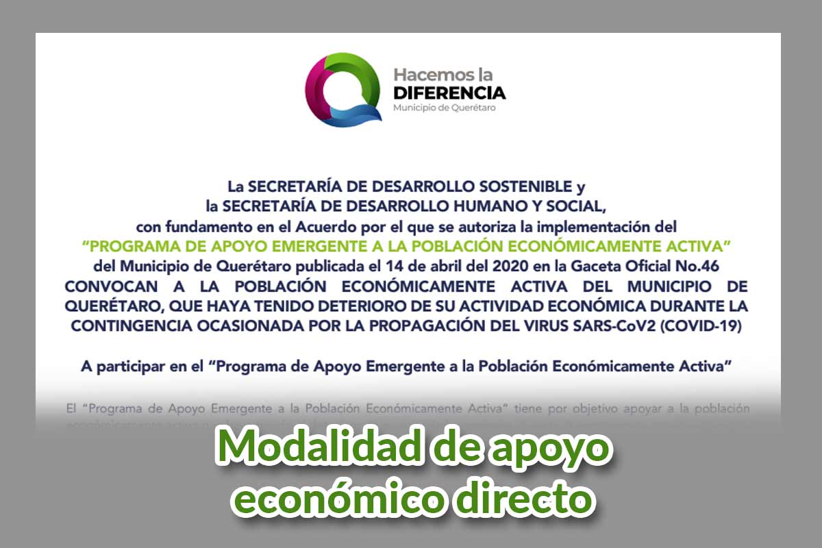 Descubre cómo acceder al Apoyo Emergente para la Población Económicamente Activa en la modalidad de apoyo directo