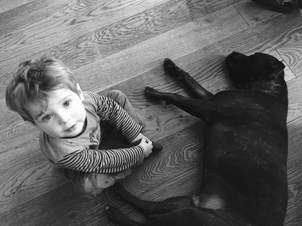 ¿Ya conoces el apoyo emocional que le brinda un animal de compañía a tus hijos en estos momentos?