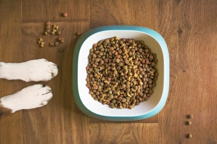 Estimula el sentido del olfato de tu perro a la hora de comer