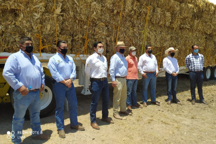 Inicia entrega de pacas a ganaderos de Querétaro para enfrentar la sequía