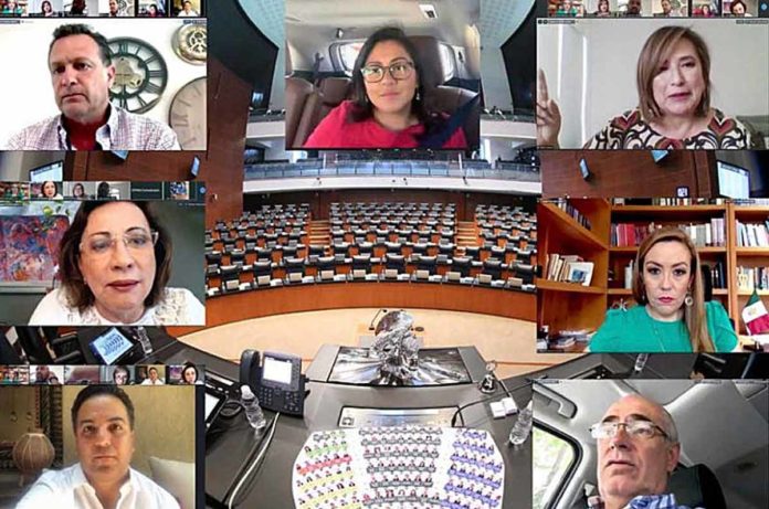 Exige PAN políticas públicas efectivas para prevenir la violencia de género y proteger a las víctimas