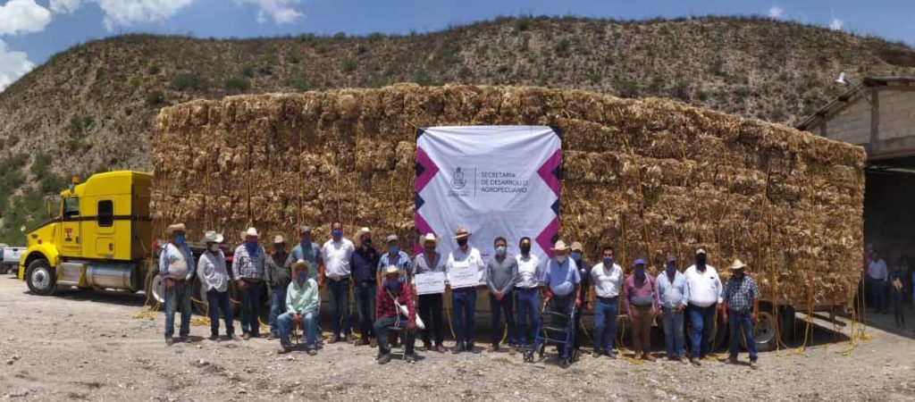 "Con pandemia o no, los ganaderos no hemos parado y seguimos produciendo día con día alimentos sanos y frescos": UGRQ