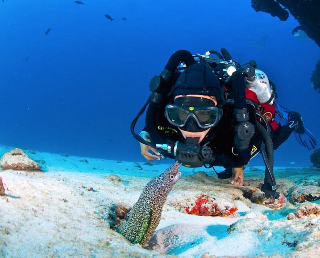 9 actividades obligatorias que debes hacer en Cancún