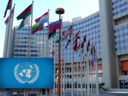 La ONU a sus 75 años: crisis y oportunidades globales