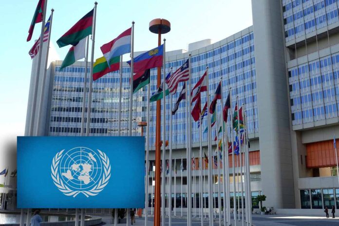 La ONU a sus 75 años: crisis y oportunidades globales