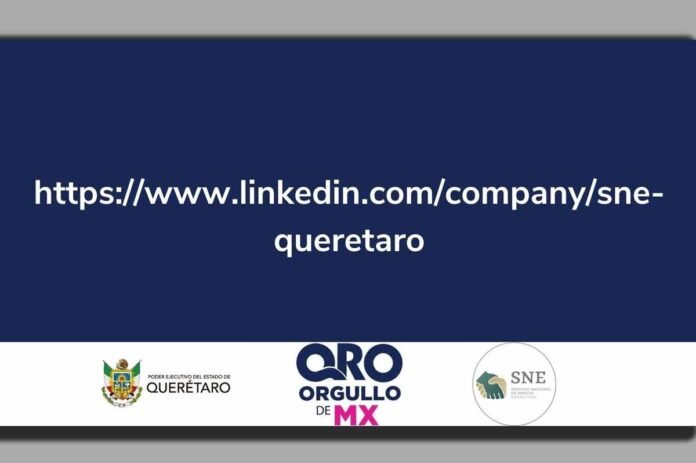 Construye una red de contactos estratégicos en Querétaro para brindar más oportunidades laborales