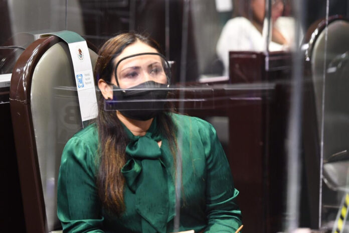 El peor presupuesto, en el peor momento: Sonia Rocha