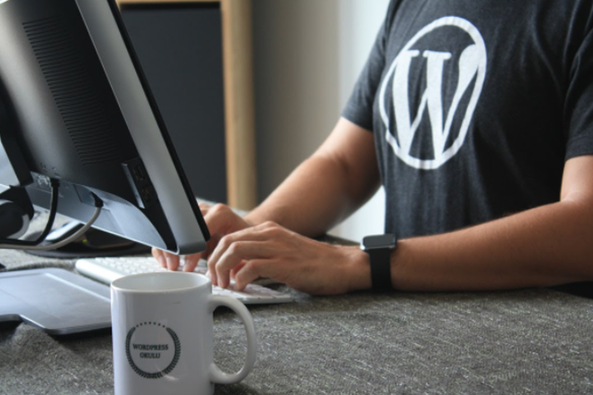Mexicanos cada vez más interesados en saber qué es WordPress y cómo usarlo