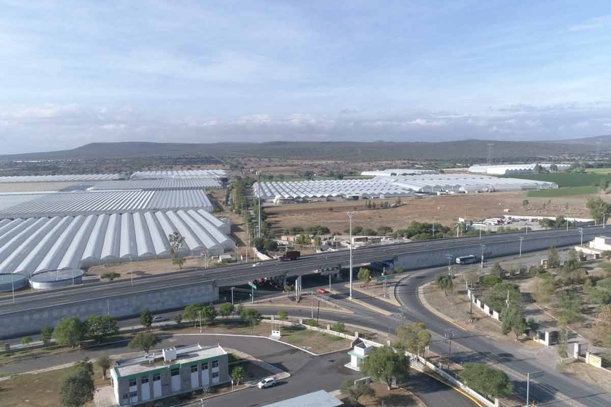 Colón crece pese a pandemia