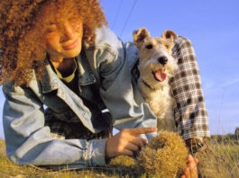 El impacto social de las mascotas