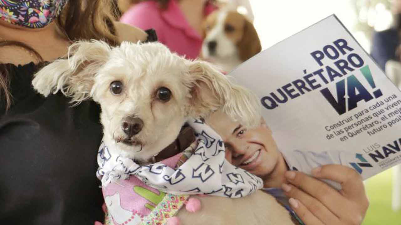 Propone Luis Nava atención integral para animales con Policía Ambiental y de Cuidado Animal