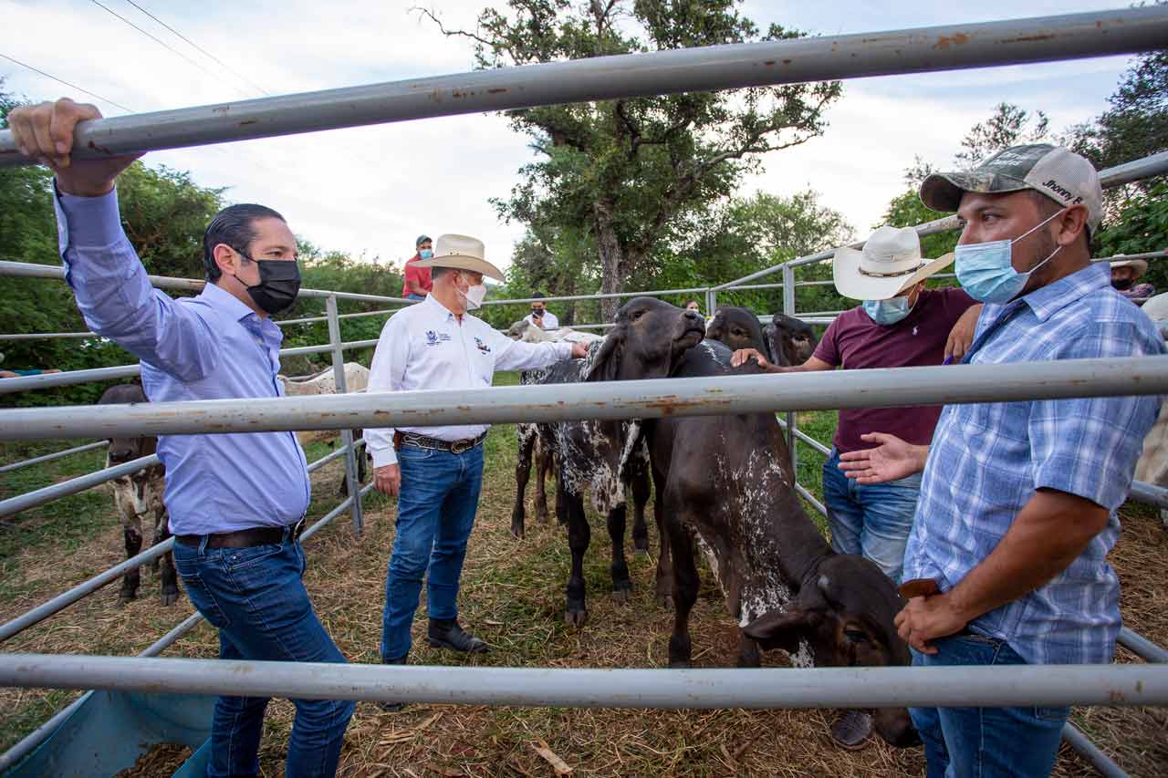 El campo serrano avanza con hechos, afirma Francisco Domínguez en Arroyo Seco