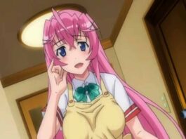 Motivos por los que el hentai Otome Dori triunfa en México