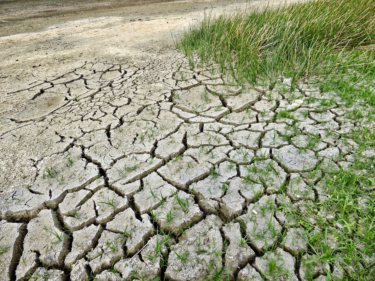 Simbiosis planetaria en peligro: agua, calidad del medio ambiente, incremento de la desertificación