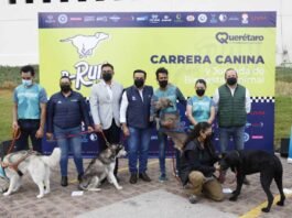 Todo listo para la segunda carrera canina P-Run 2022 en el Parque Bicentenario