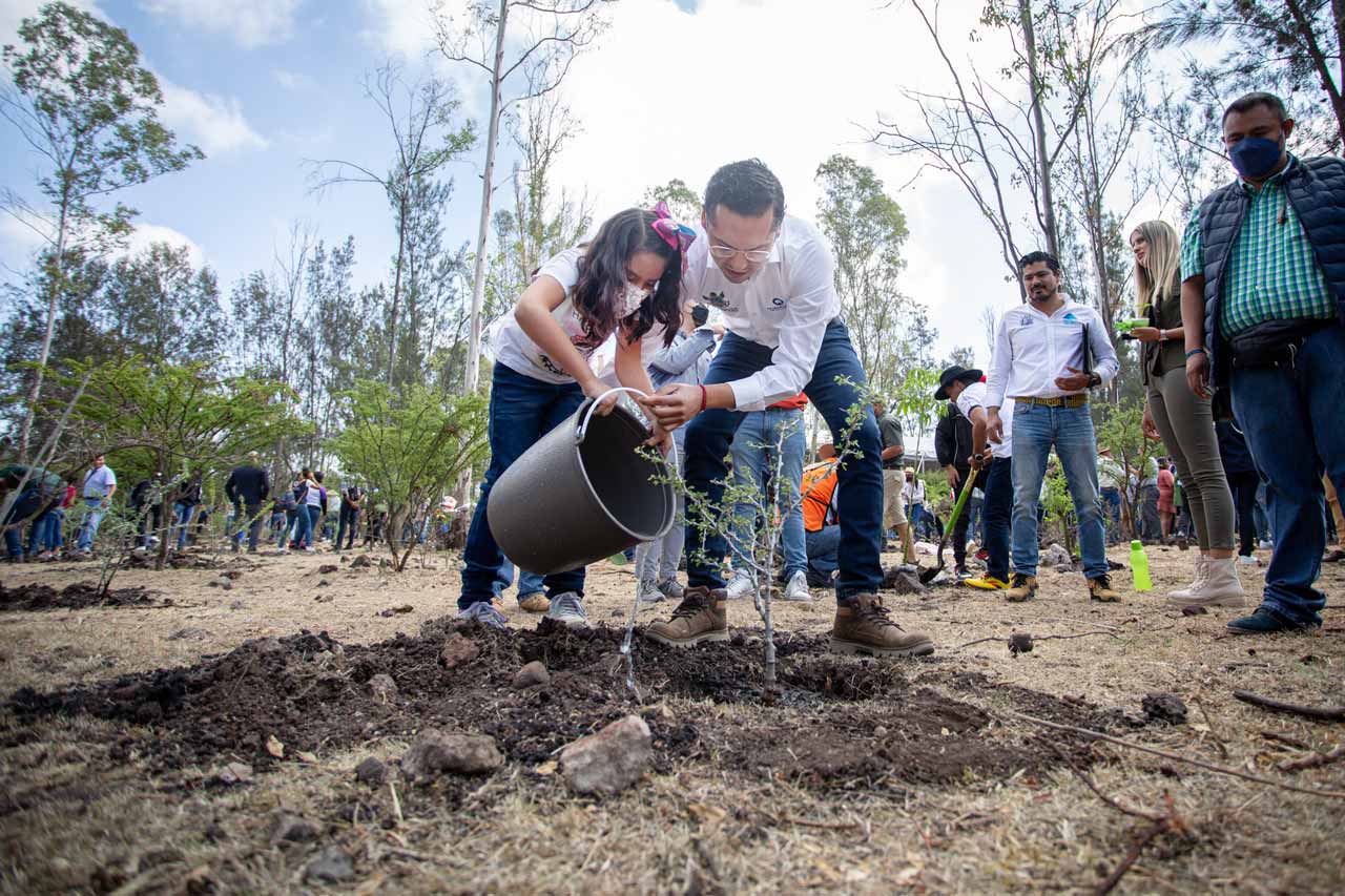Arranca Temporada de Reforestación 2022 en todo el estado