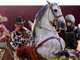 Regresa el gran espectáculo ecuestre de Diana Laura y sus caballos