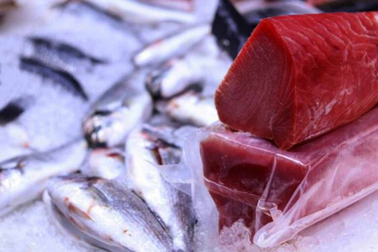 Listo el operativo Cuaresma en Querétaro, consejos para el consumo de alimentos y la salud