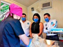 Continúa programa de esterilización de mascotas en Corregidora