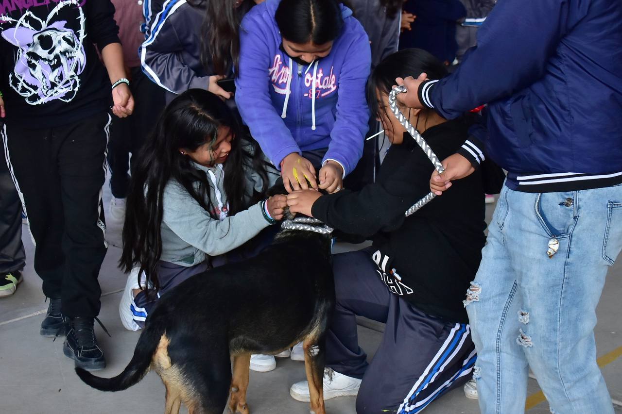 Estudiantes de Corregidora reciben pláticas sobre el cuidado a los animales