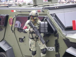 Algunos datos curiosos del Ejército mexicano