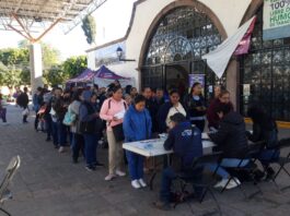 Finaliza el registro para adquirir la tarjeta Qrobus, se alcanzaron los 100 mil registros