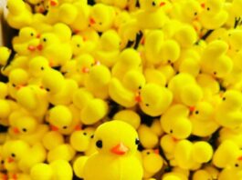 Patos de hule en la cabeza: nueva tendencia que conquista México