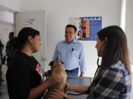 Aprovechar la Campaña de Vacunación Antirrábica en unidades municipales y delegaciones de Querétaro