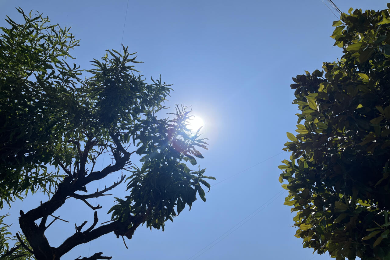 Ola de calor extrema para México con 16 estados a más de 40 grados Celcius