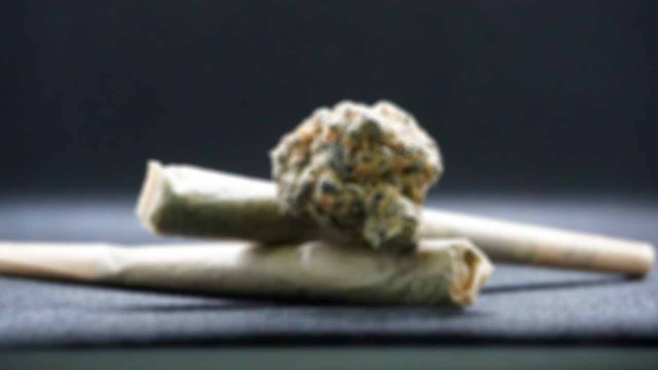 Apoyan candidatos presidenciales a marihuana, tanto en México como en Estados Unidos