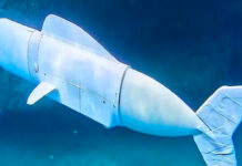 Esta es ‘Eve’, el pez robot que recolecta ADN
Esta es 'Eve', el pez robot que recolecta ADN