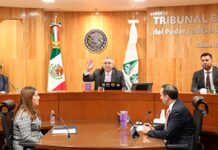 Sala Regional Toluca del TEPJF confirma distritos locales 7 y 14 para Morena
Sala Regional Toluca del TEPJF confirma distritos locales 7 y 14 para Morena