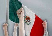 Artículo 1º garante del respeto y protección a los derechos humanos en México
Artículo 1º garante del respeto y protección a los derechos humanos en México