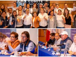 La fuerza del PAN está en su militancia: Martín Arango