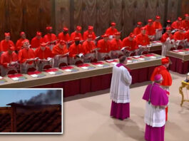 Cónclave 2025: estas son las principales facciones para elegir al papa