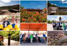 Potencia Querétaro el cuidado del medio ambiente con el decreto del Parque Natural La Beata en Amealco
El Gobernador entregó el certificado que avala la declaratoria del polígono como Área Natural Protegida con Categoría de Zona Natural, Privada o Comunitaria.