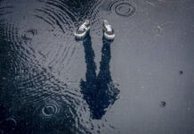 Justificará USEBEQ faltas escolares por lluvias o condiciones meteorológicas en Querétaro
Justificará USEBEQ faltas escolares por lluvias en Querétaro