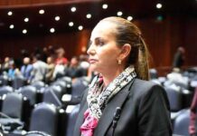 Reforma antilavado pone en riesgo a las mipymes de Querétaro: Lorena García Alcocer
Reforma antilavado pone en riesgo a las mipymes de Querétaro: Lorena García Alcocer