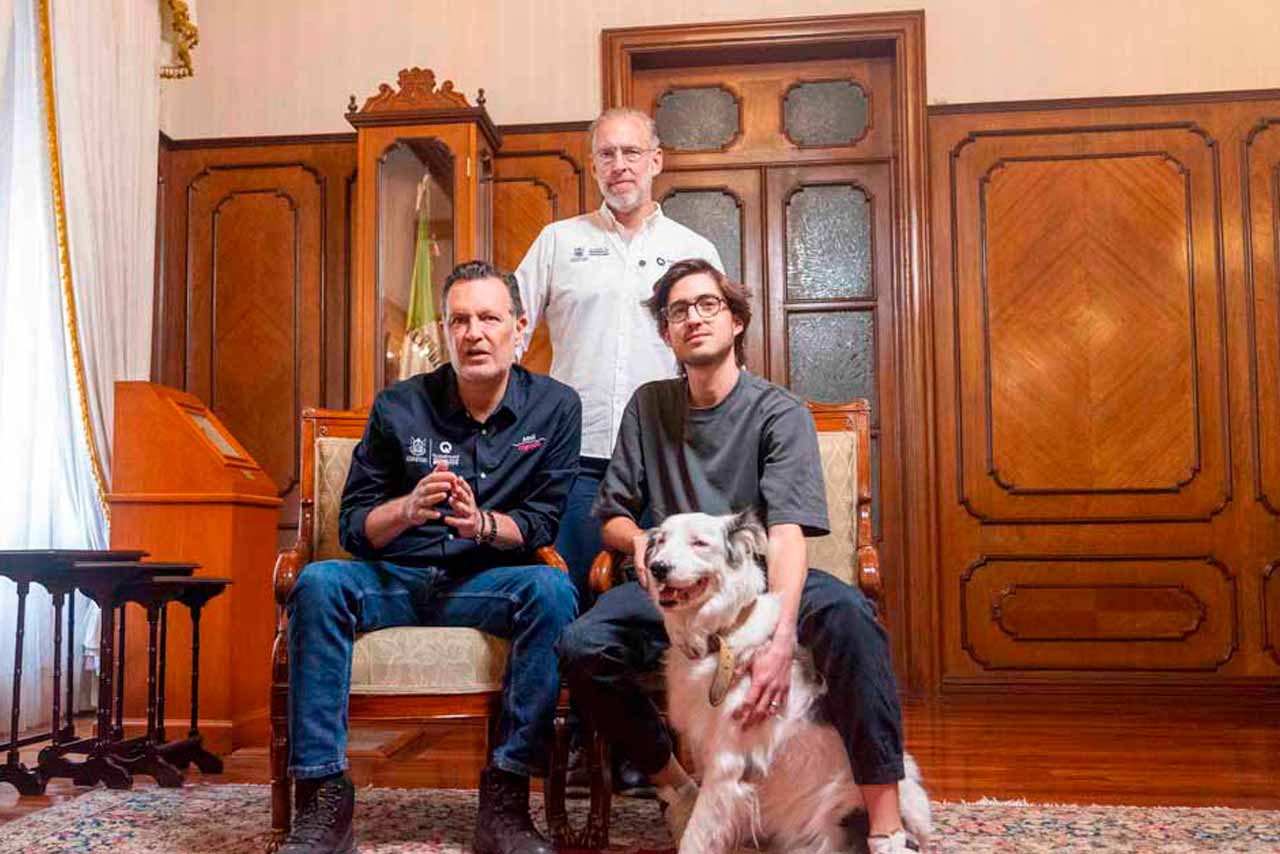 Querétaro impulsa ley para proteger a los animales