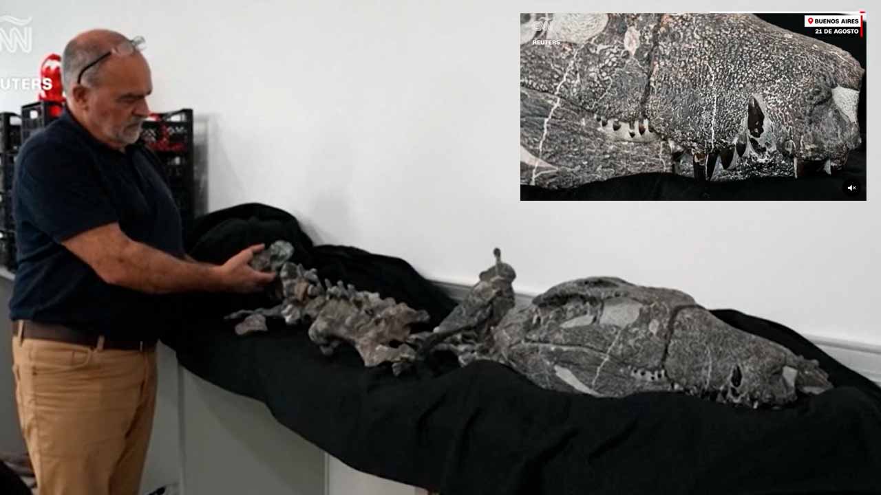 Descubren en la Patagonia un cocodrilo prehistórico con dientes de T. Rex
